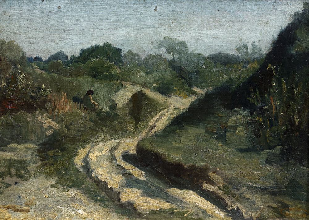 Studie van duinlandschap